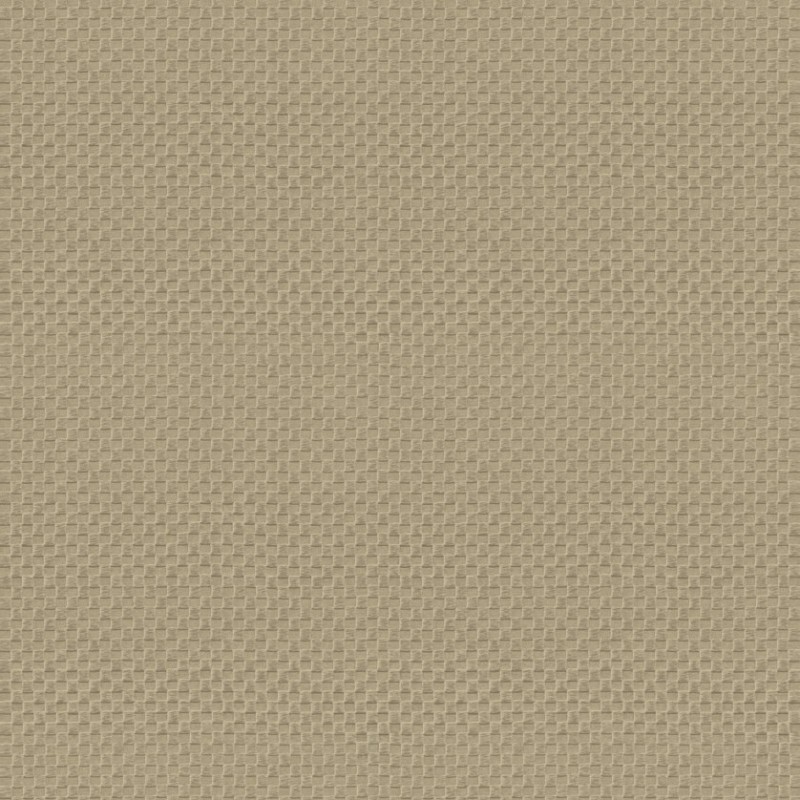 Papel Pintado Armani Pantheon GA2 9241