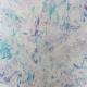 Papel Pintado Osborne & Little Durbar W6956-01