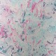 Papel Pintado Osborne & Little Durbar W6956-02