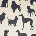 Papel pintado Wallpaper Album 7 W6181-03