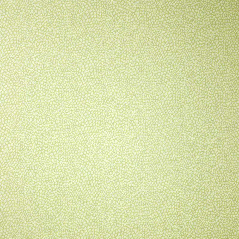 Papel pintado Osborne & Little Wallpaper Album 7 W6491-05