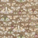 Papel Pintado Jardin des Plantes PDG713/06