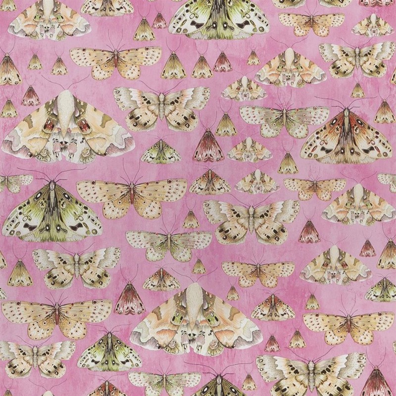 Papel pintado Designers Guild Jardin des Plantes PDG713-03