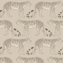 The Ardmore Collection 109-2012 Papel Pintado