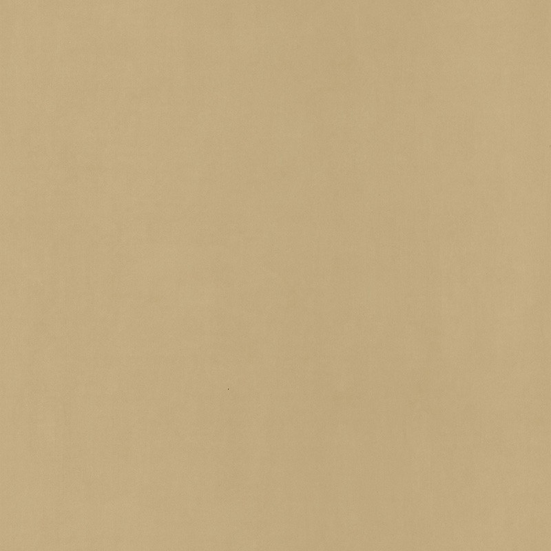 Papel Pintado Caselio Pretty Llili PRLI 55421412