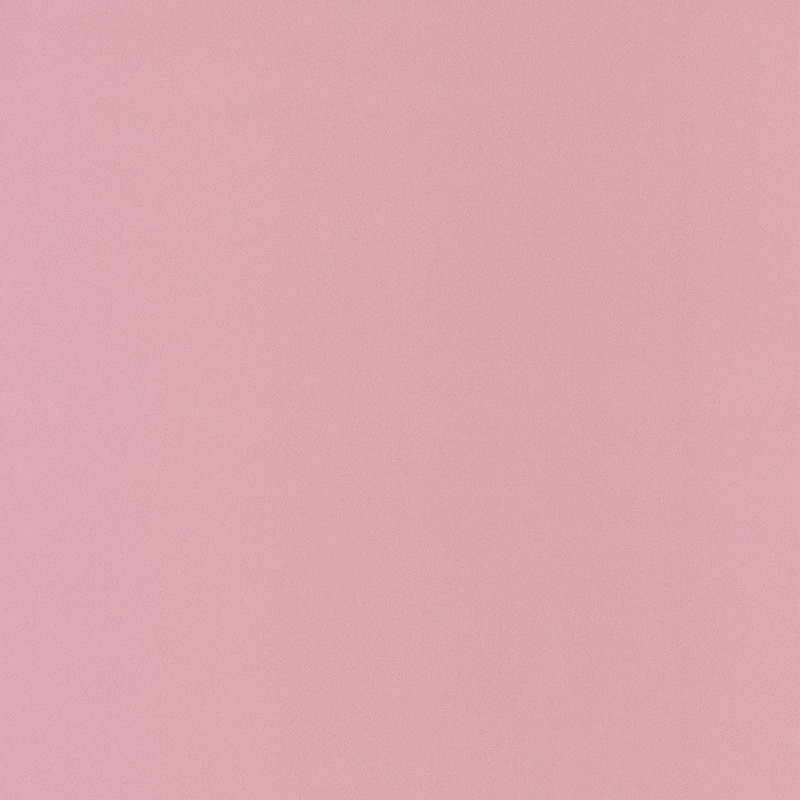 Papel Pintado Caselio Pretty Llili PRLI 59654010