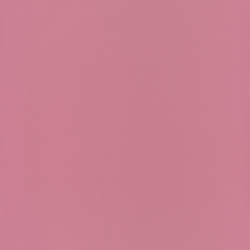 Papel Pintado Caselio Pretty Llili PRLI 62254049