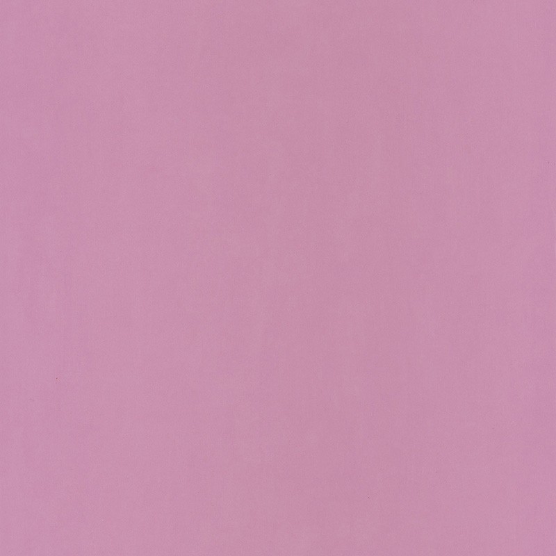 Papel Pintado Caselio Pretty Llili PRLI 66325302