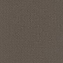 Papel pintado Casa Carlucci CA8259/020