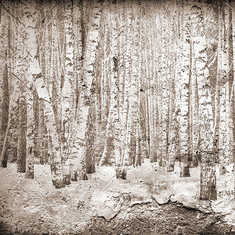 Mural Coordonné Random Papers Broken Forest 6500202N A