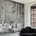 Mural Random Papers 6500201N