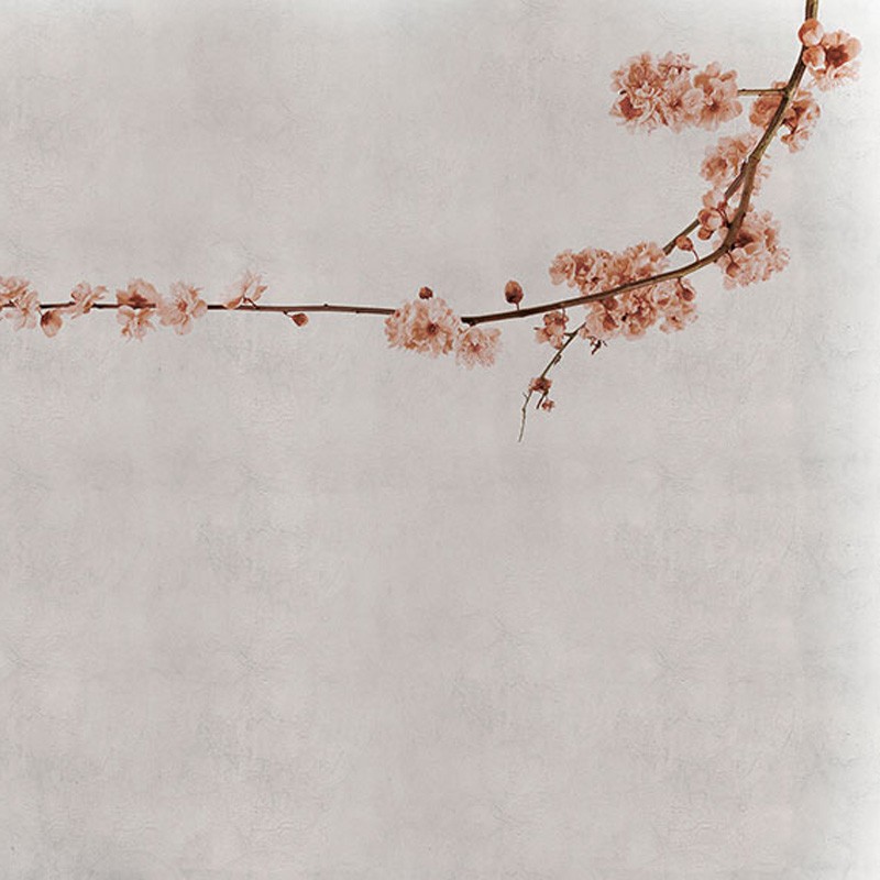 Mural Coordonné Random Papers Blossom Branch 6500308N A