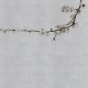 Mural Coordonné Random Papers Blossom Branch 6500307N A