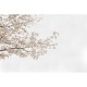 Mural Coordonné Random Papers Blossom Almond Tree 6500305N