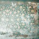 Mural Coordonné Random Papers Floral Rug 6500317N A