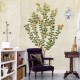Mural Coordonné Random Papers Botanical Drawing 6500503N A