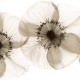 Mural Wall&Deco Contemporary Wallpapers 2010 Opium WDOP0902