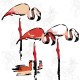 Mural Wall&Deco Contemporary Wallpapers 2010 Flamingo Dada BBFD0901