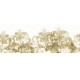Mural Wall&Deco Contemporary Wallpapers 2011 Smell Like WDSL1101