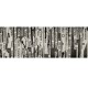 Mural Wall&Decò Contemporary Wallpapers 2013 Round the World WDRW1301