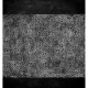 Mural Wall&Decò Contemporary Wallpapers 2014 B&W WDBW1401