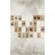 Mural Wall&Decò Contemporary Wallpapers 2014 Juvenile WDJV1401