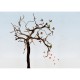 Mural Wall&Decò Contemporary Wallpapers Anniversary Cherry Tree WDAN15CT