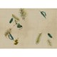 Mural Wall&Decò Contemporary Wallpapers 2017 Phytogenesis WDPH1701