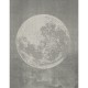 Mural Wall&Decò Contemporary Wallpapers 2017 Luna Plena WDLU1701