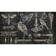 Mural Wall&Decò Contemporary Wallpapers 2017 Herodio WDHE1701