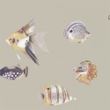 Papel pintado Anthozoa 111647