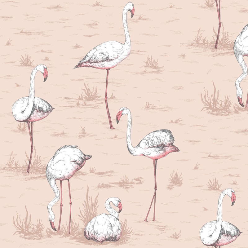 Papel pintado Cole & Son Icons Flamingos 112-11039