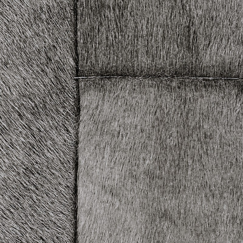 Papel pintado Élitis Indomptée Appaloosa VP-618-05
