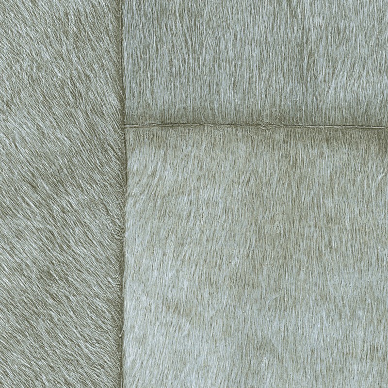 Papel pintado Élitis Indomptée Appaloosa VP-618-16