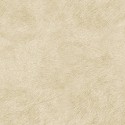 Panel Decorativo Indomptée VP 617 02
