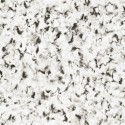 Oas 222-81 Papel pintado