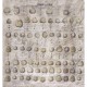 Mural Wall&Decò Contemporary Wallpapers 2018 Pommes a Cidre WDPC1801