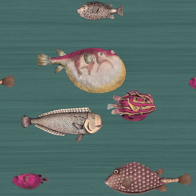 Papel pintado Cole & Son Fornasetti Acquario 114-12024