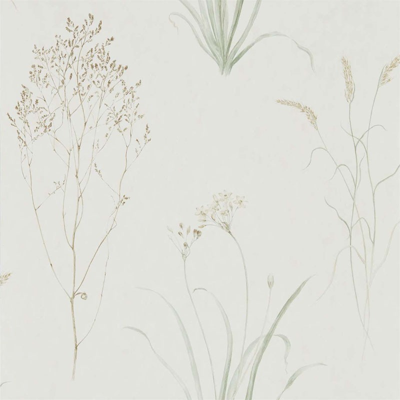 Papel pintado Sanderson Embleton Bay Farne Grasses 216488