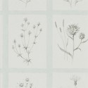 Embleton Bay Little Thistles 216513 Sanderson Papel pintado