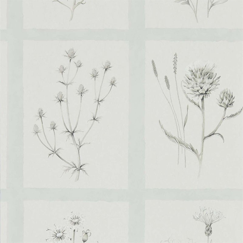 Papel pintado Sanderson Embleton Bay Little Thistles 216513