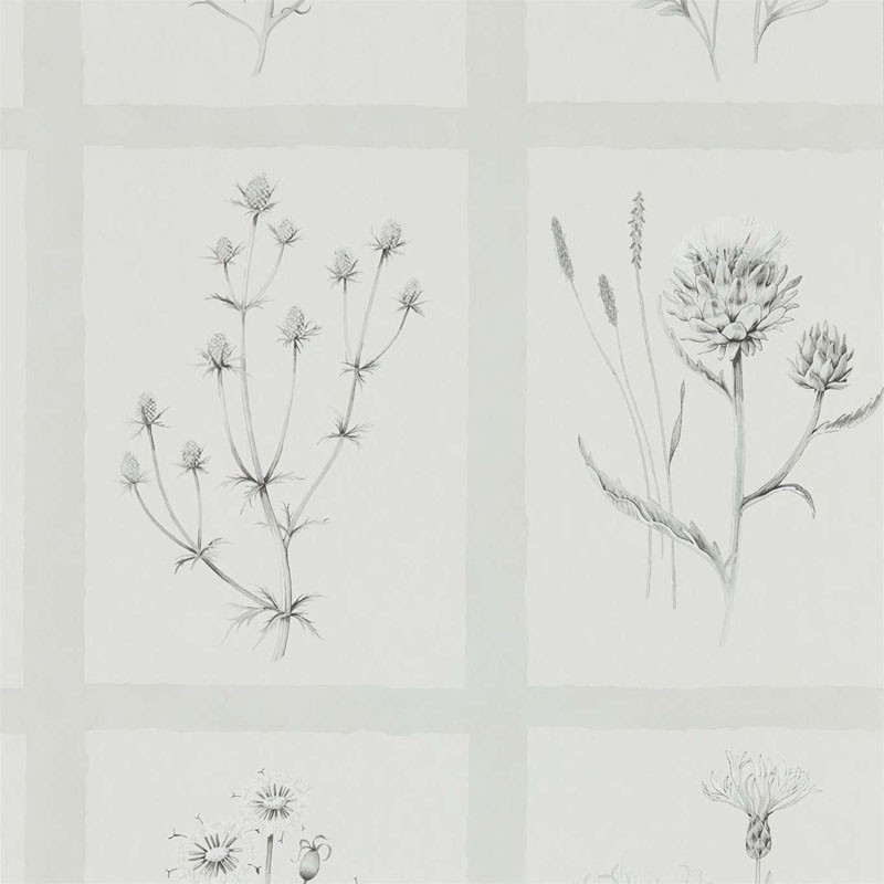 Papel pintado Sanderson Embleton Bay Little Thistles 216512