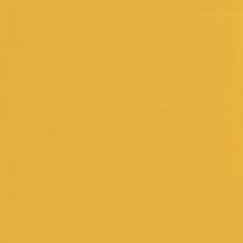Papel pintado Caselio Jungle UNI 69862202