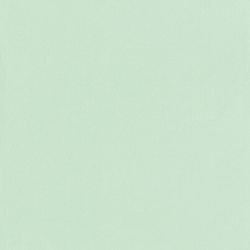 Papel pintado Caselio Jungle UNI JUN69867910