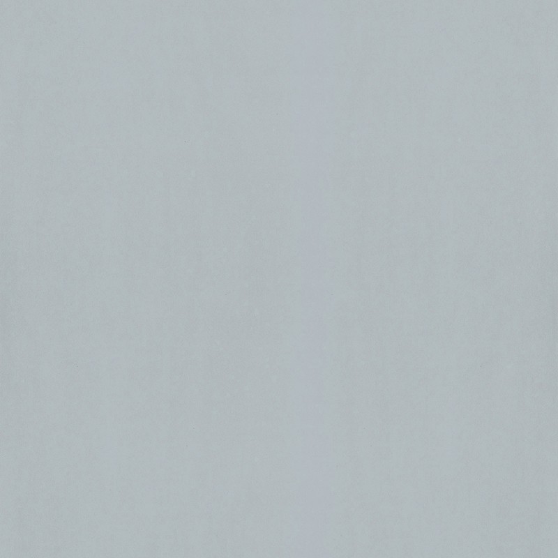 Papel pintado Caselio Jungle UNI JUN69866000