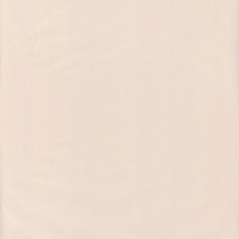 Papel pintado Caselio Jungle UNI JUN69861303