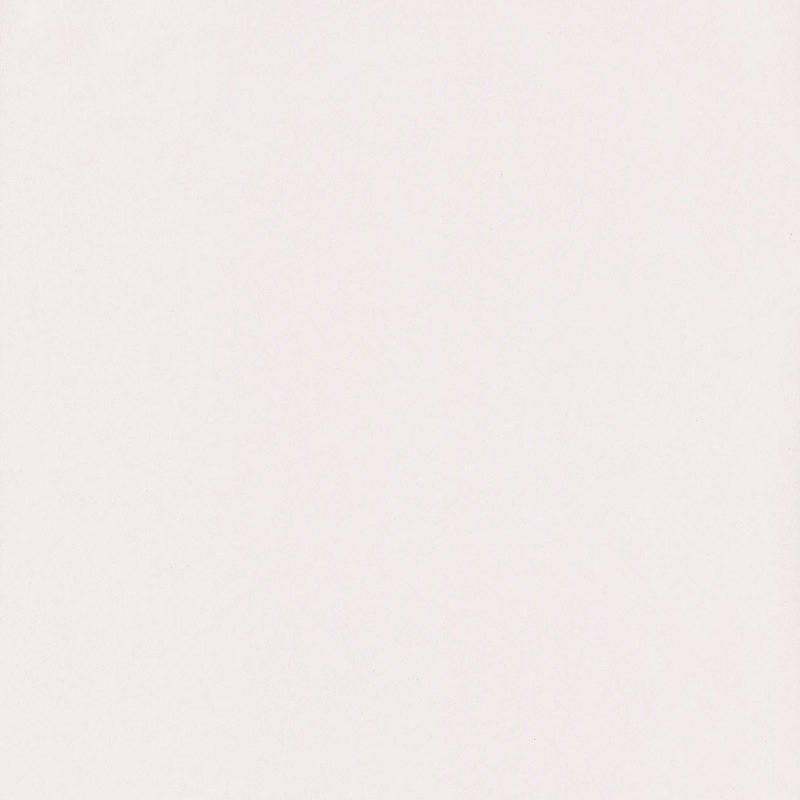 Papel pintado Caselio Jungle UNI JUN69861001