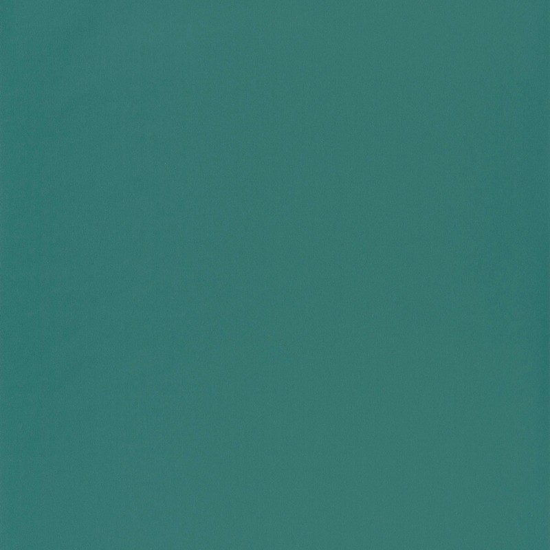 Papel pintado Caselio Jungle Uni JUN69867717