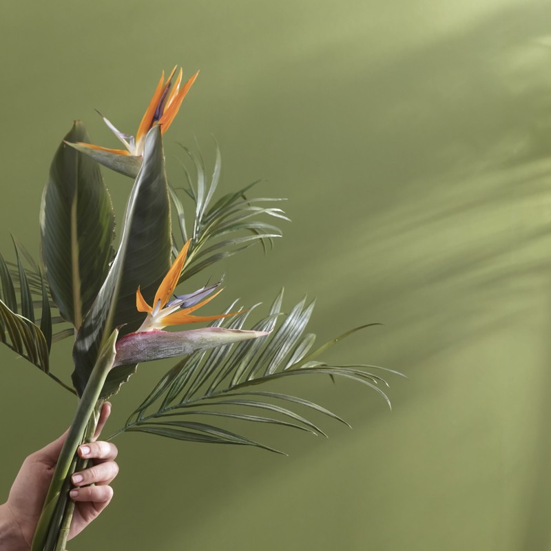 Papel pintado Caselio Jungle UNI JUN69867313 A