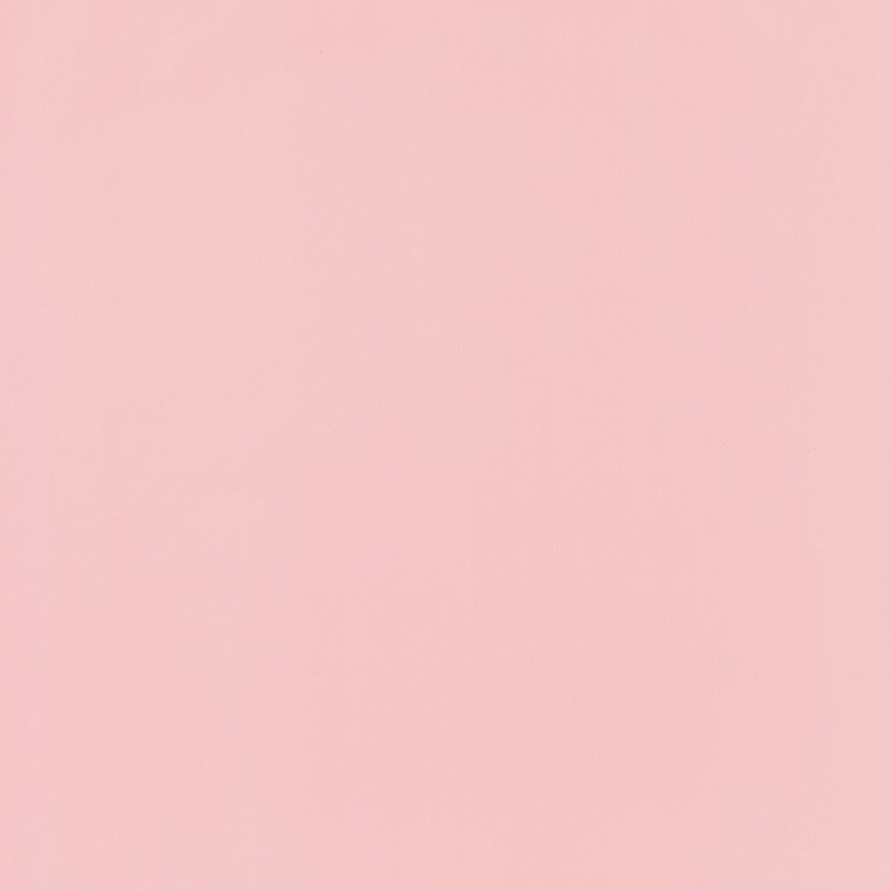 Papel pintado Caselio Jungle Uni JUN29694204